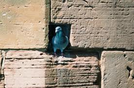 Pigeonhole